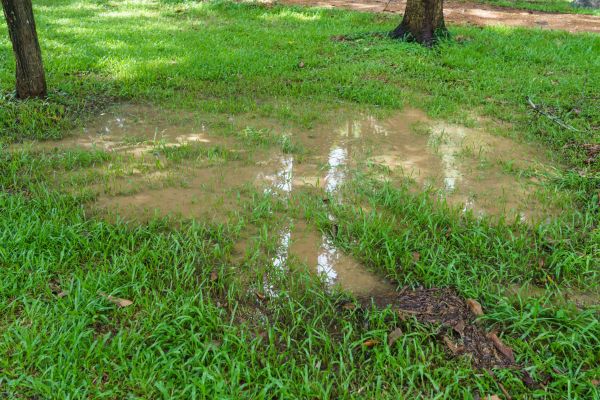 Cost of Storm Water Drainage Service in Yukon